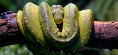 The ancient problem of sin.